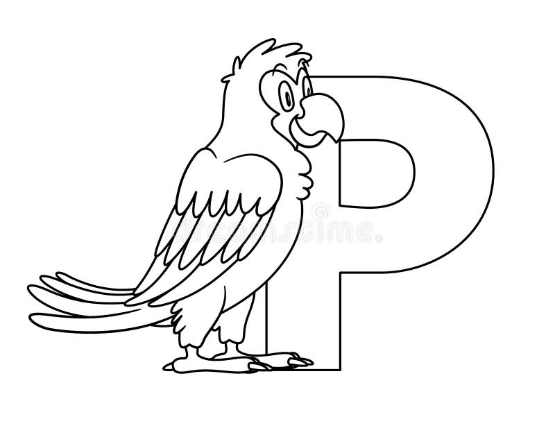 Animal alphabet capital letter p parrot illustration stock vector