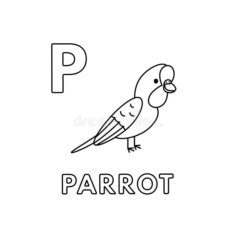 Parrot coloring stock illustrations â parrot coloring stock illustrations vectors clipart