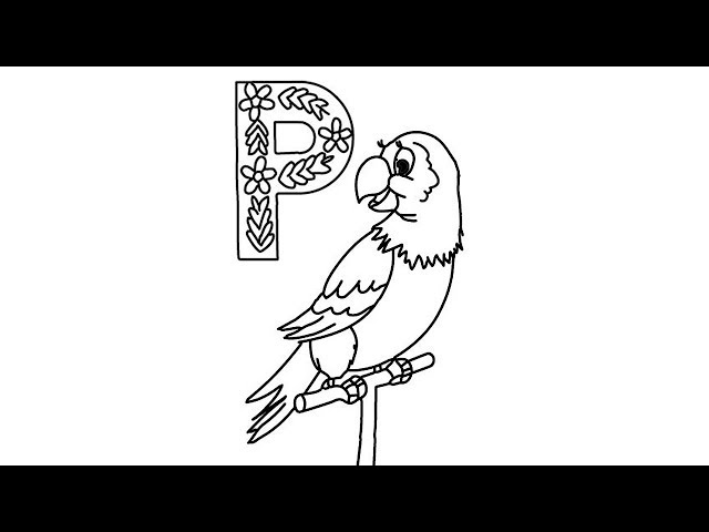 How to draw a p is for parrot for kids