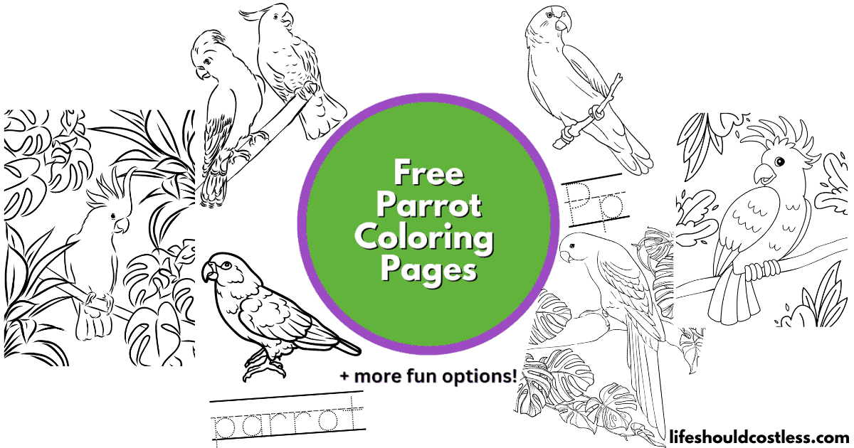 Parrot coloring pages free printable pdf templates