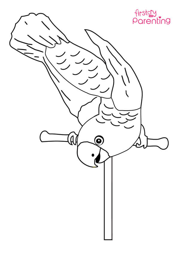 Easy printable parrot coloring pages for kids