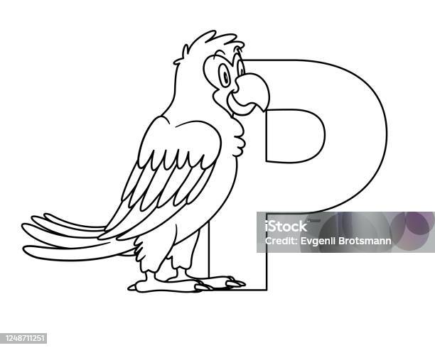 Animal alphabet capital letter p parrot illustration for pre school education kindergarten and foreign language learning