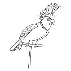 Cute parrot coloring pages your toddler will love to color