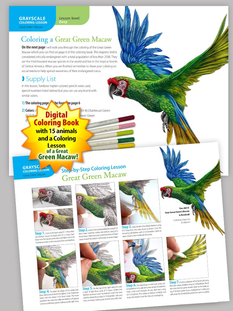 Animal sketches endangered birds coloring book â tim jeffs art