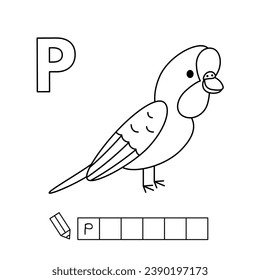 Parrot coloring pages images stock photos d objects vectors