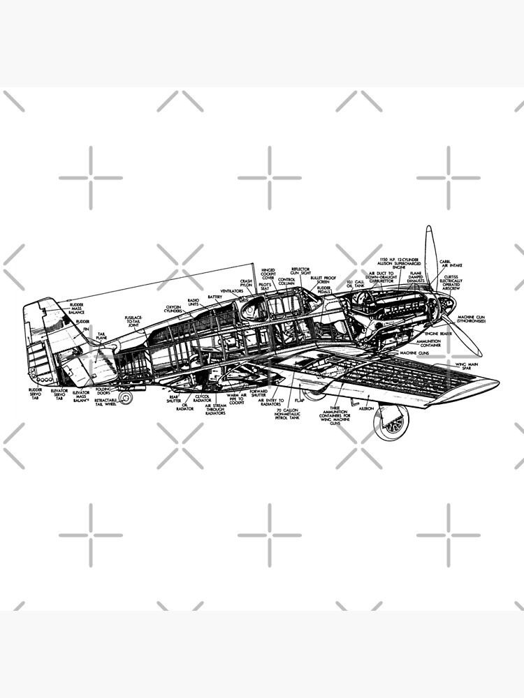 P mustang fighter plane