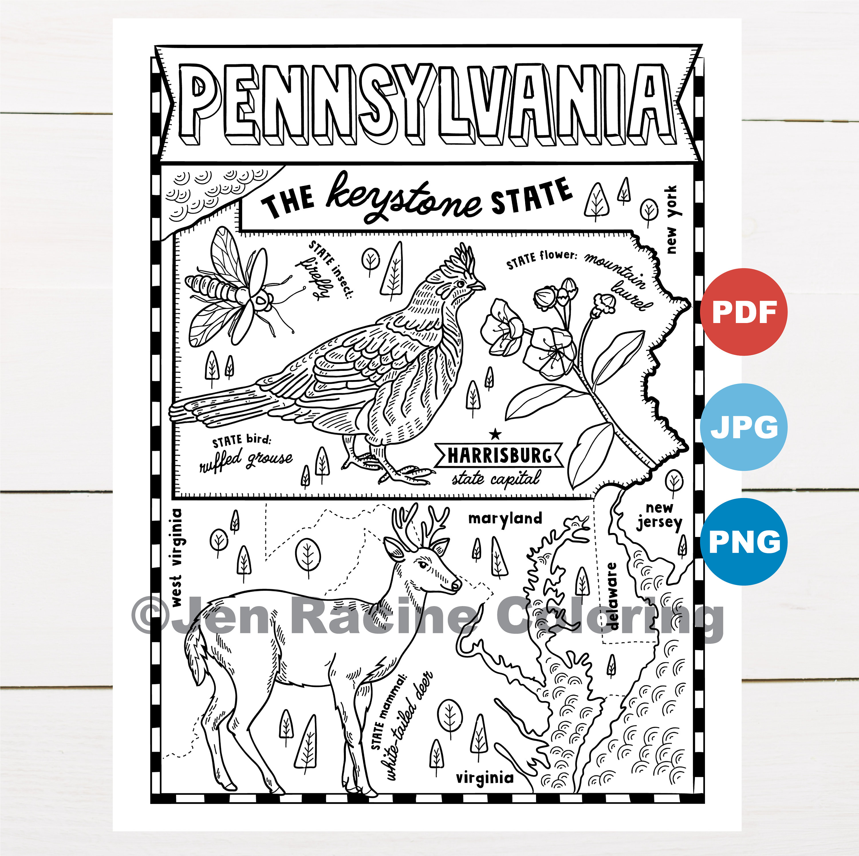 Pennsylvania coloring page united states state map wildlife state symbols flowers coloring pages instant download