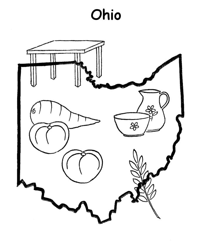 State outline shape and demographic map