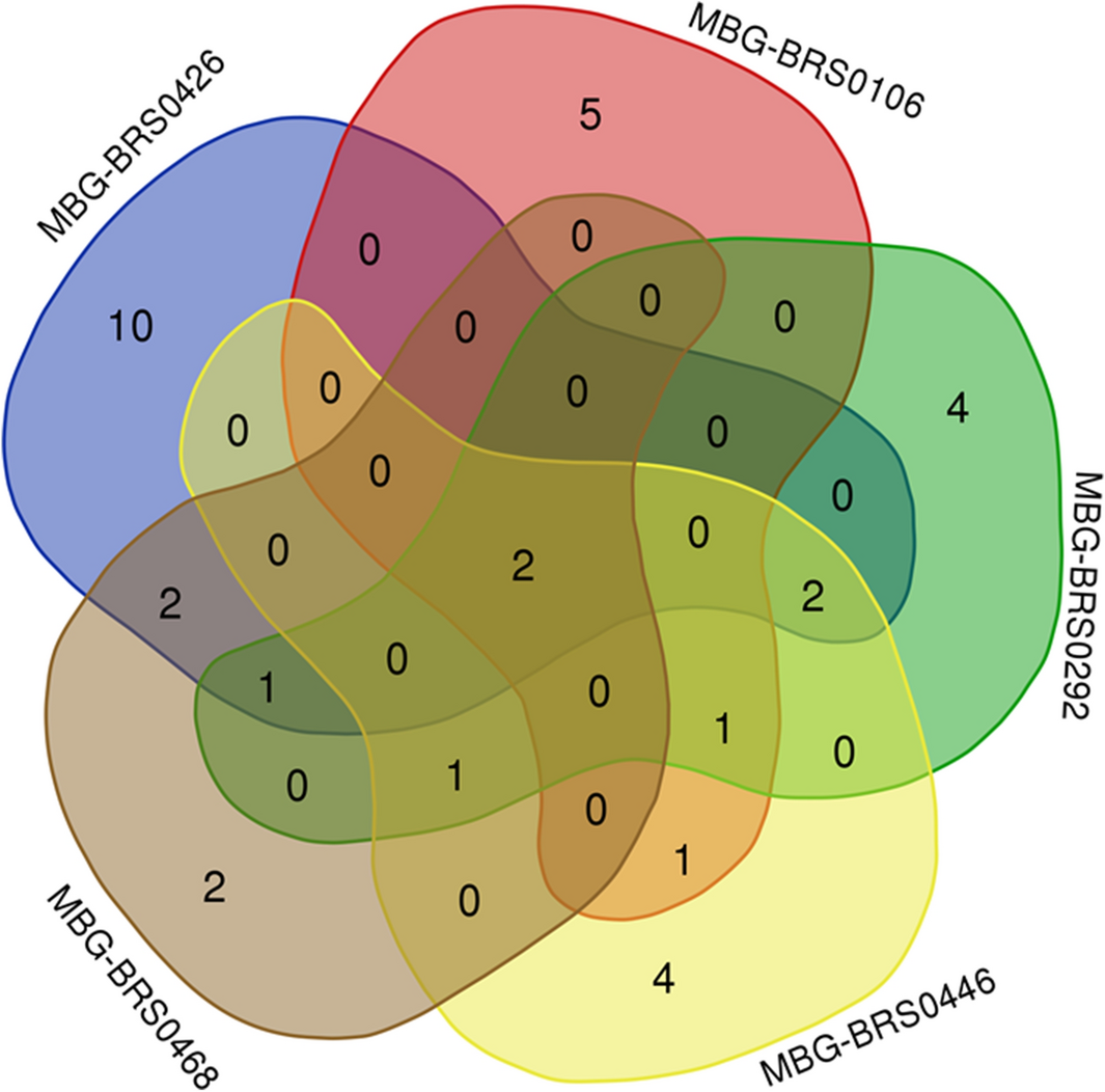 Brassica oleracea var acephala kale improvement by biological activity of root endophytic fungi scientific reports