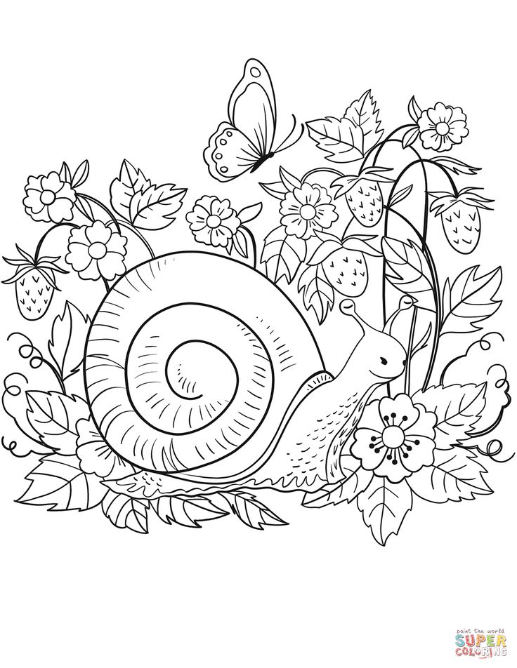 Snail coloring page free printable coloring pages coloring pages free printable coloring pages animal coloring pages