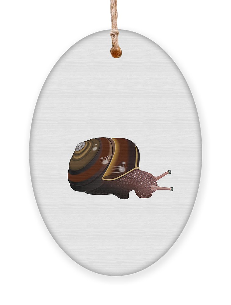 Pacific sideband land snail ornament by kathryn yoder