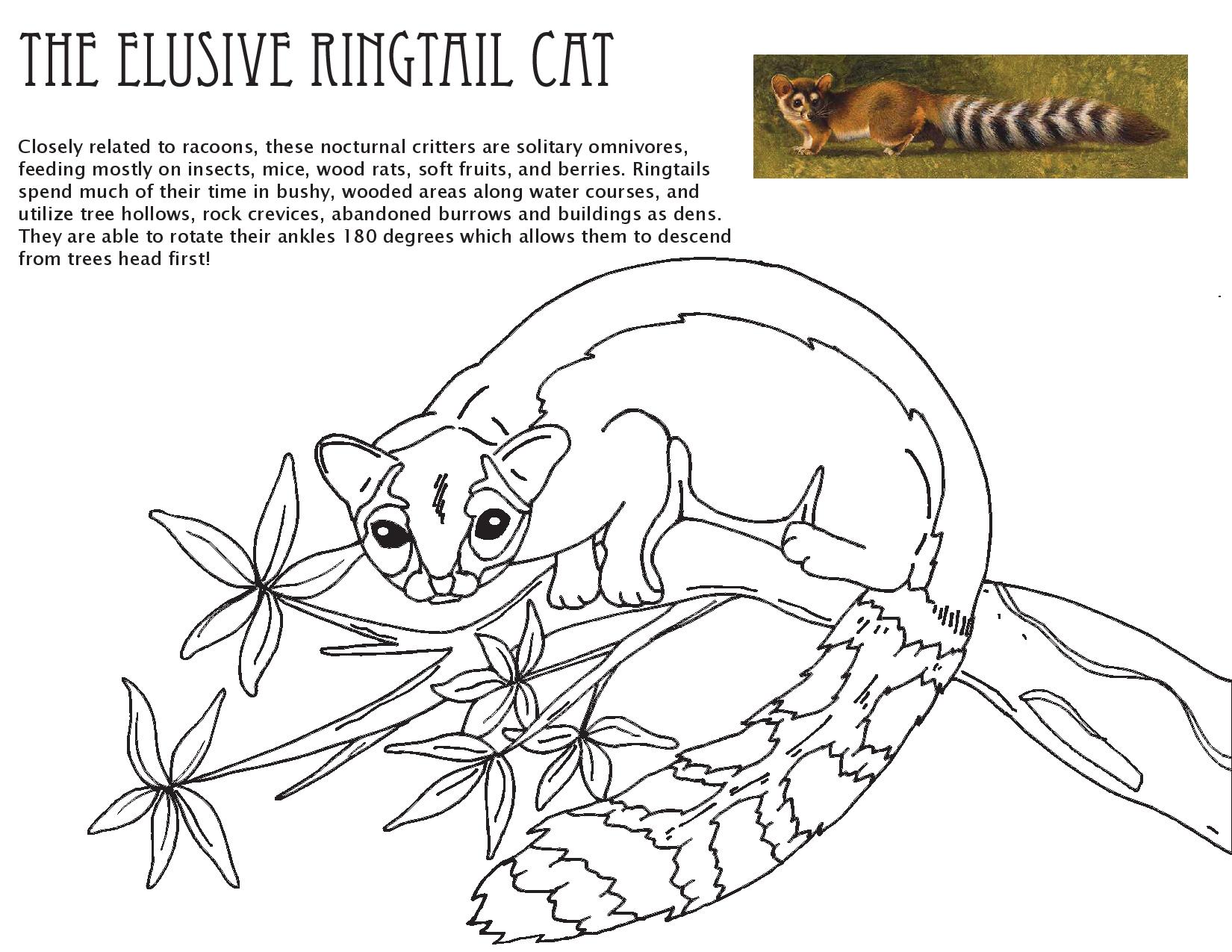 Coloring pages