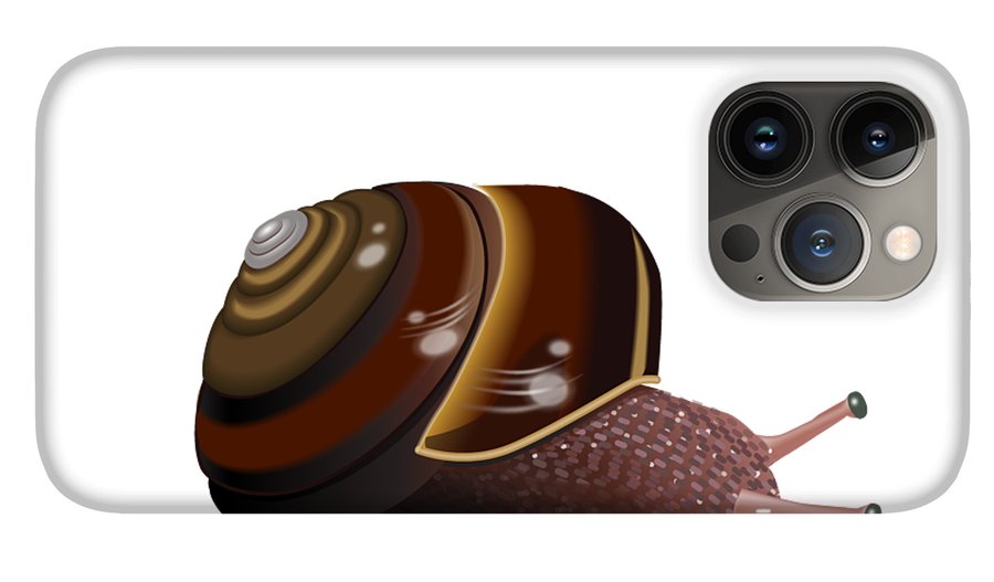 Pacific sideband land snail iphone pro case by kathryn yoder