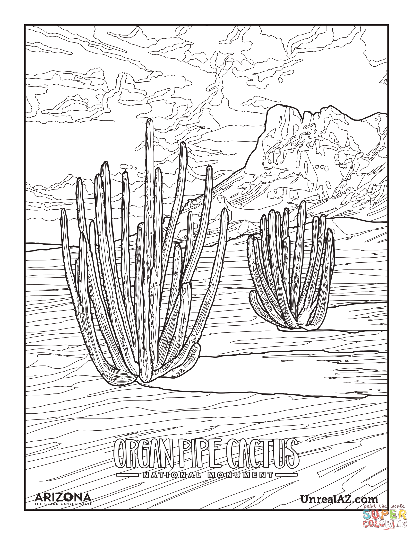 Organ pipe cactus national monument coloring page free printable coloring pages