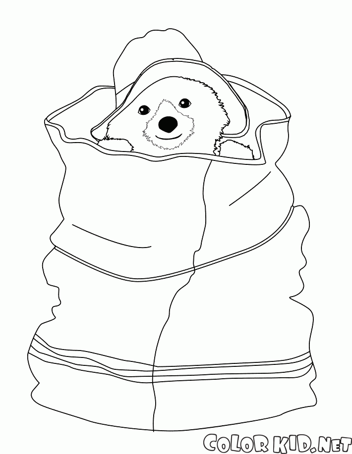 Coloring page