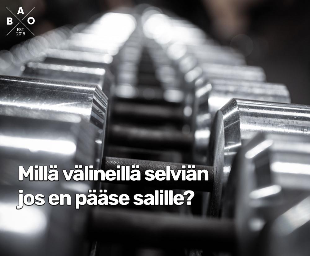 Millã vãlineillã selviãn jos en pããse salille
