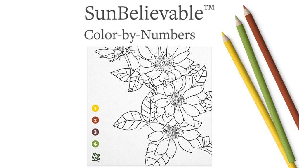 Color me happy sunbelievableâ paint
