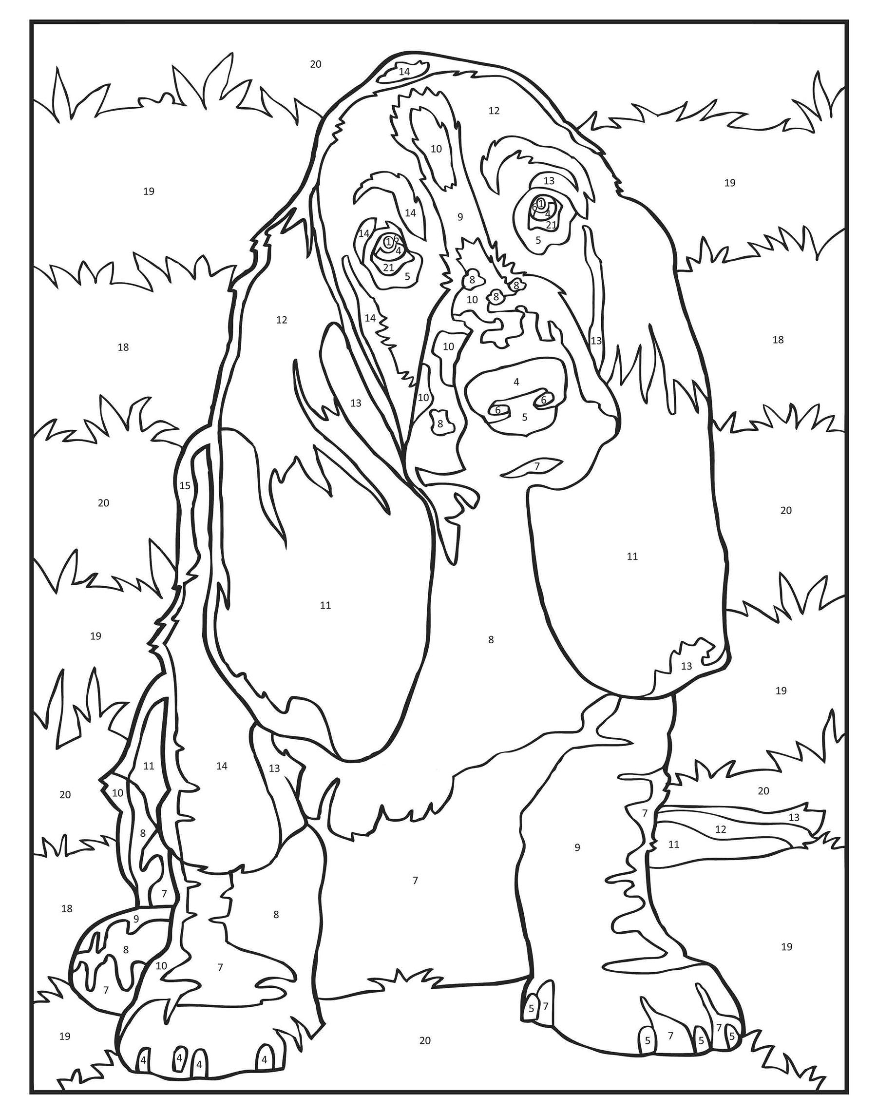 Dogs color by number coloring book