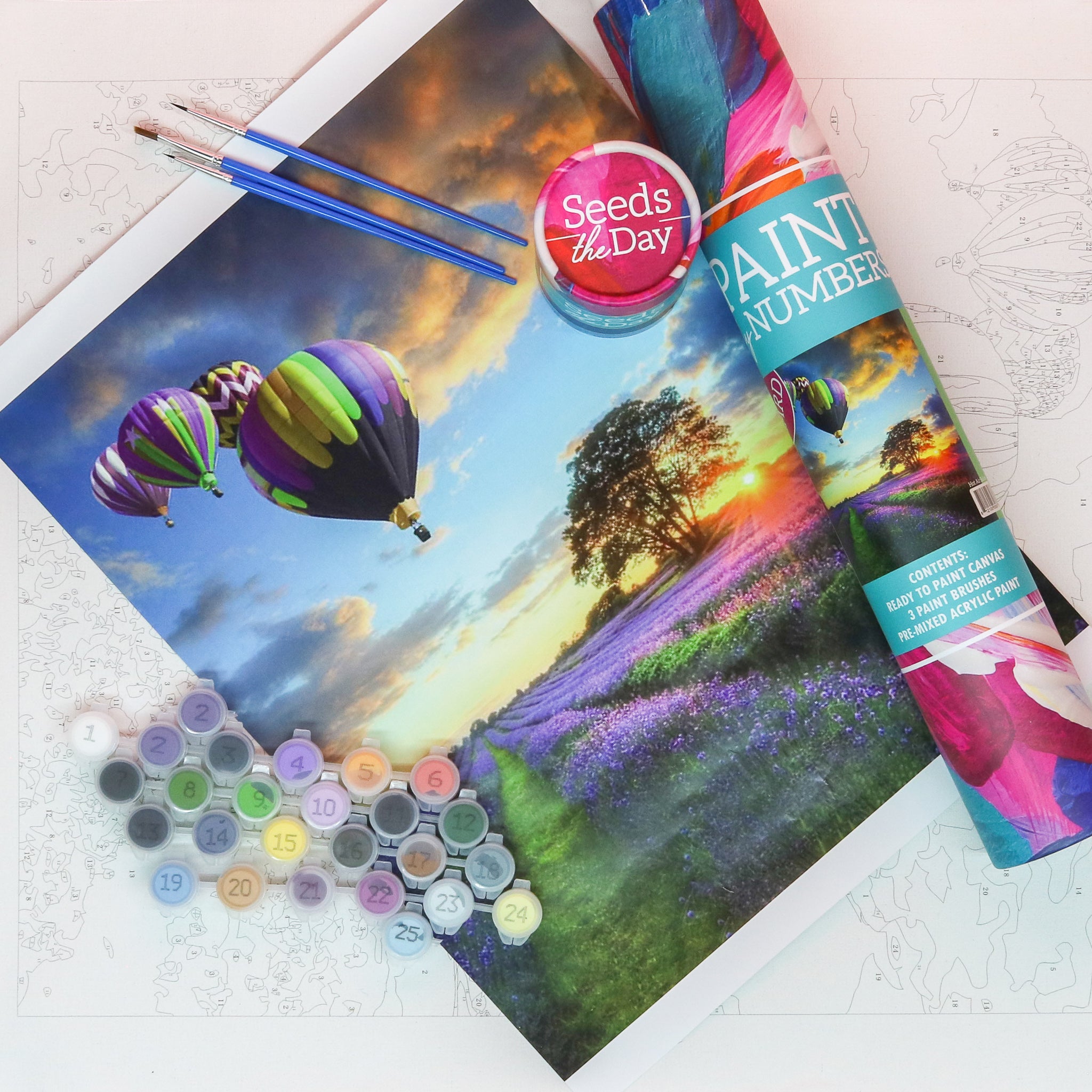 Hard hot air balloon adult diy paint