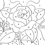 Color by numbers