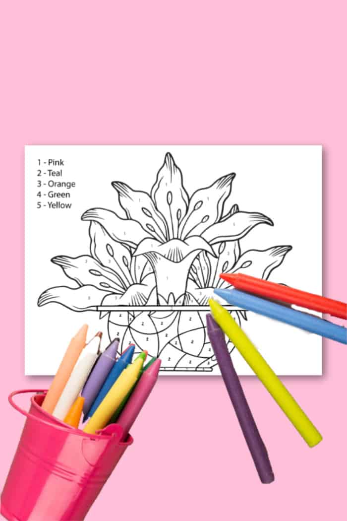 Free color by number flowers