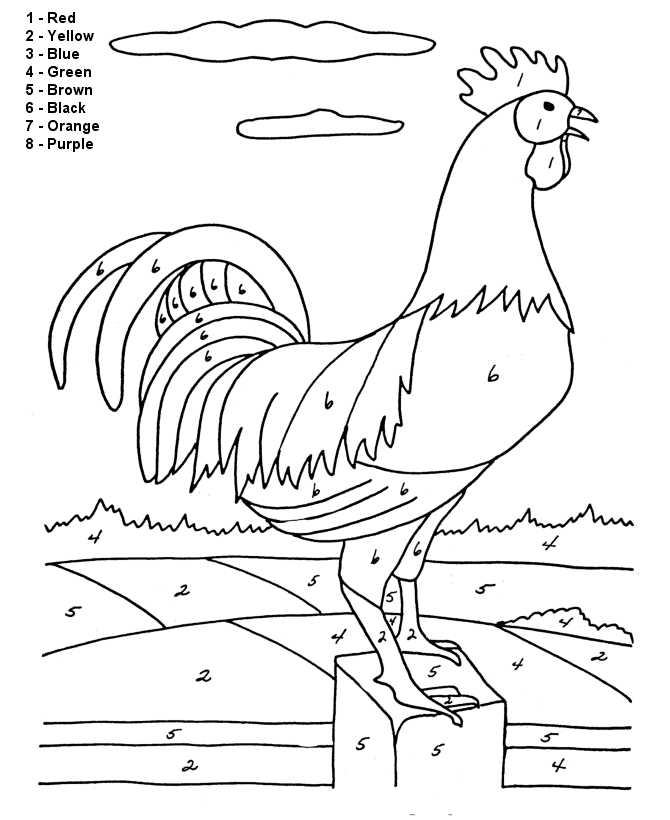 Vibrant rooster coloring page for beginners