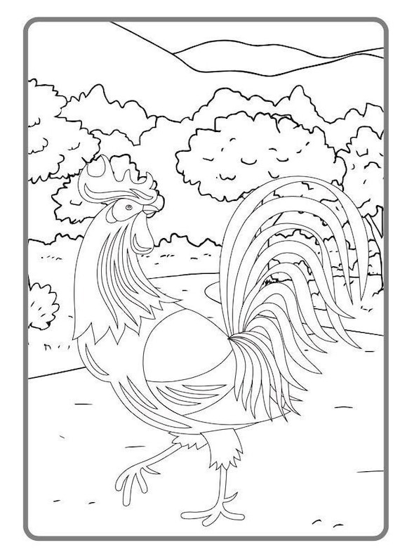 Chicken coloring pages printable coloring pages for children boys and girls digital download