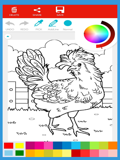 Chicken coloring book