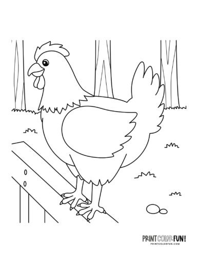 Chicken clipart coloring pages creative activities featuring rooster hen chick friends at