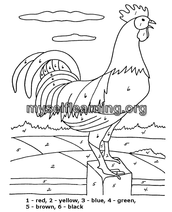 Coloring by number education sheet instant download