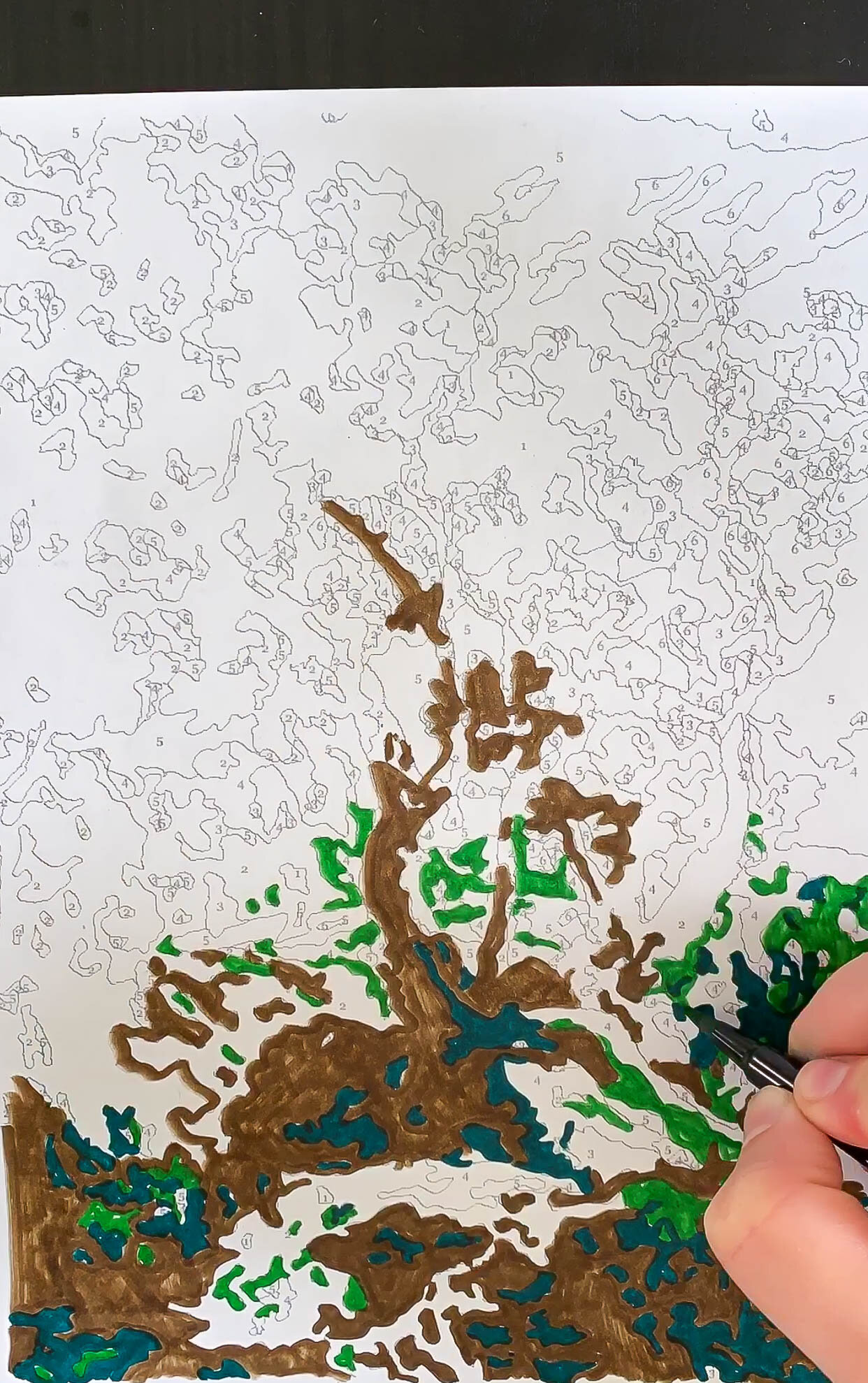 A free downloadable coloring page paint