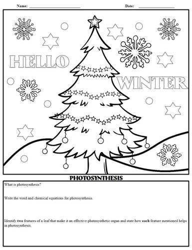 Winter coloring pageslife science practice questionsscience winter activities