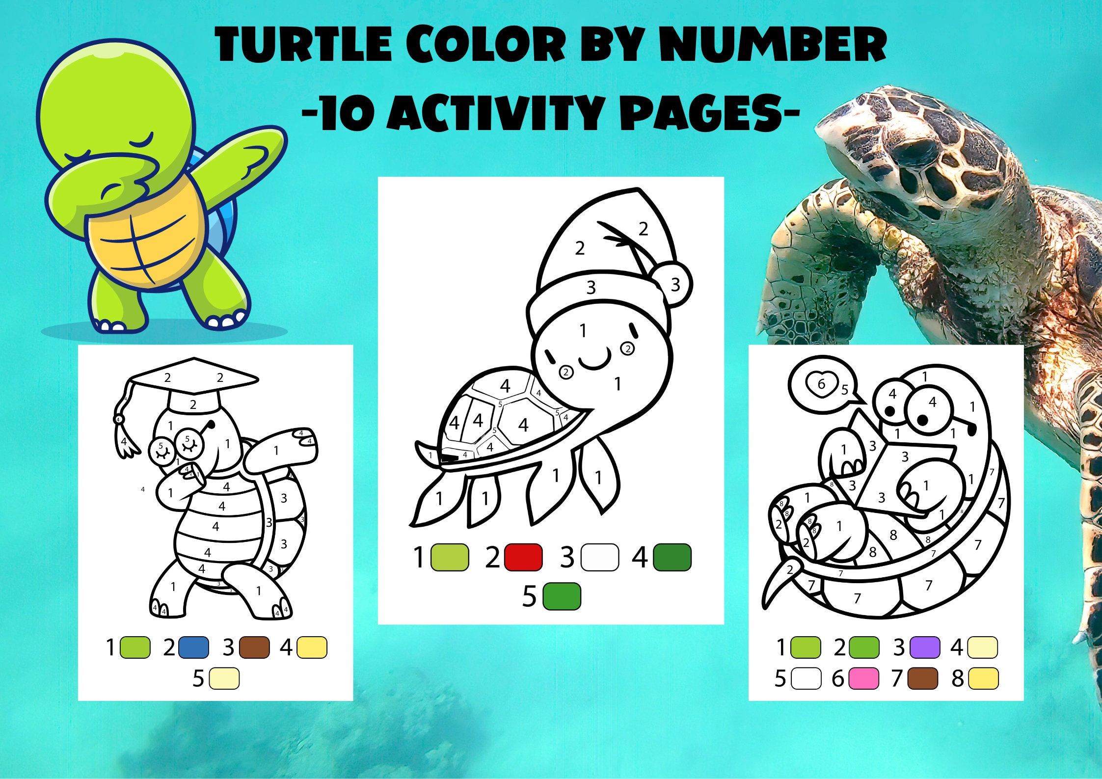 Turtle color by number for kids printable pages paint by numbers activity book for boys and girls