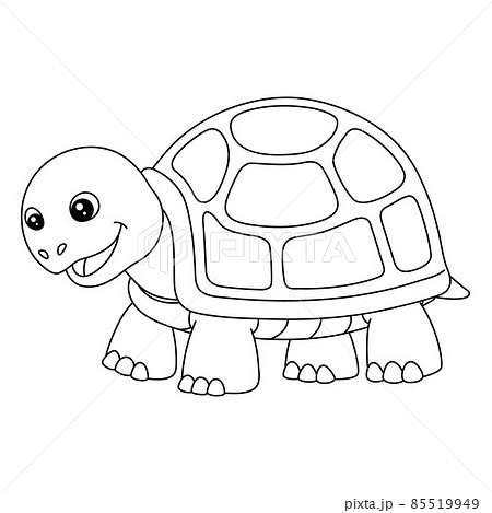 Turtle coloring page isolated for kids