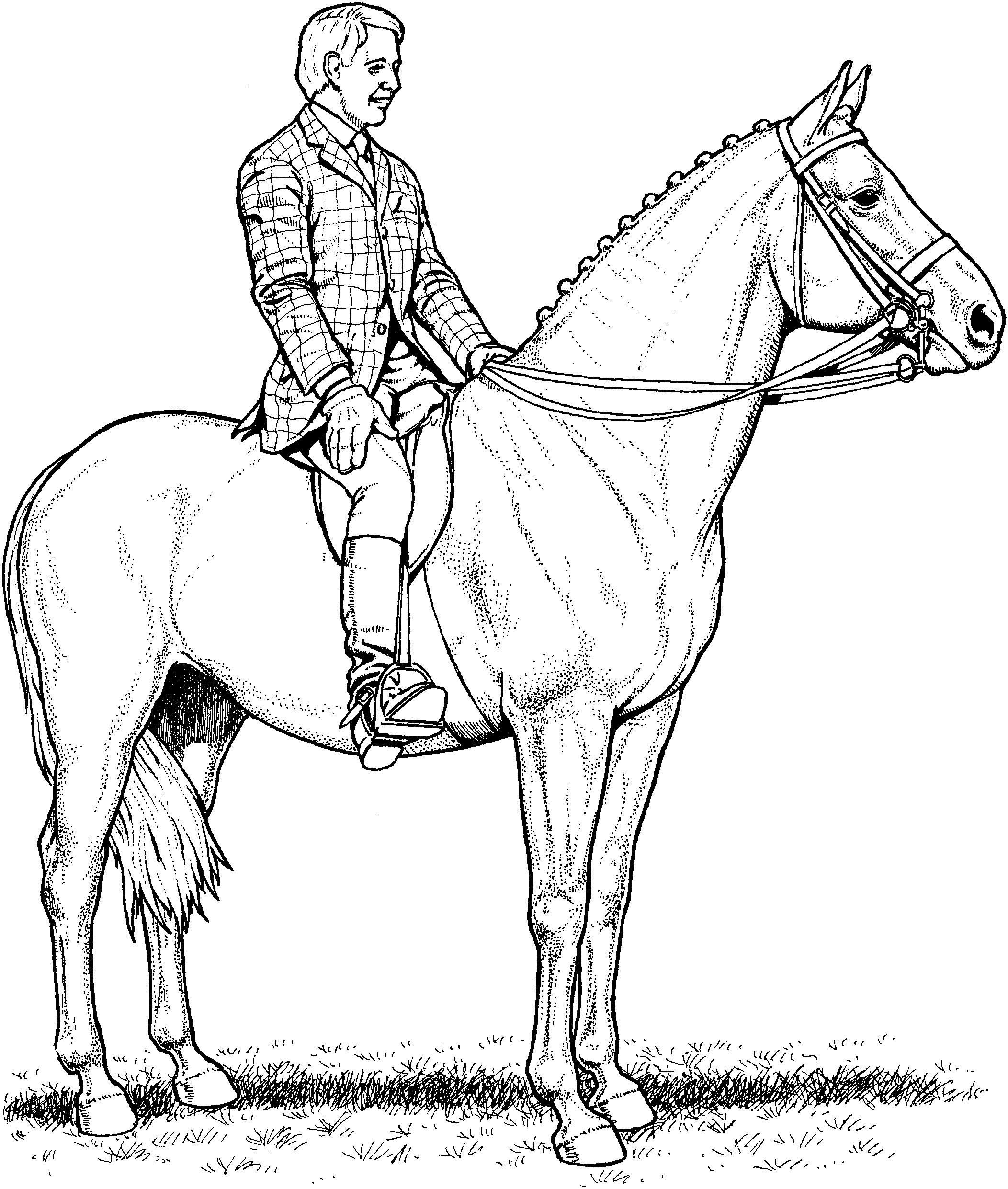Free horse coloring pages