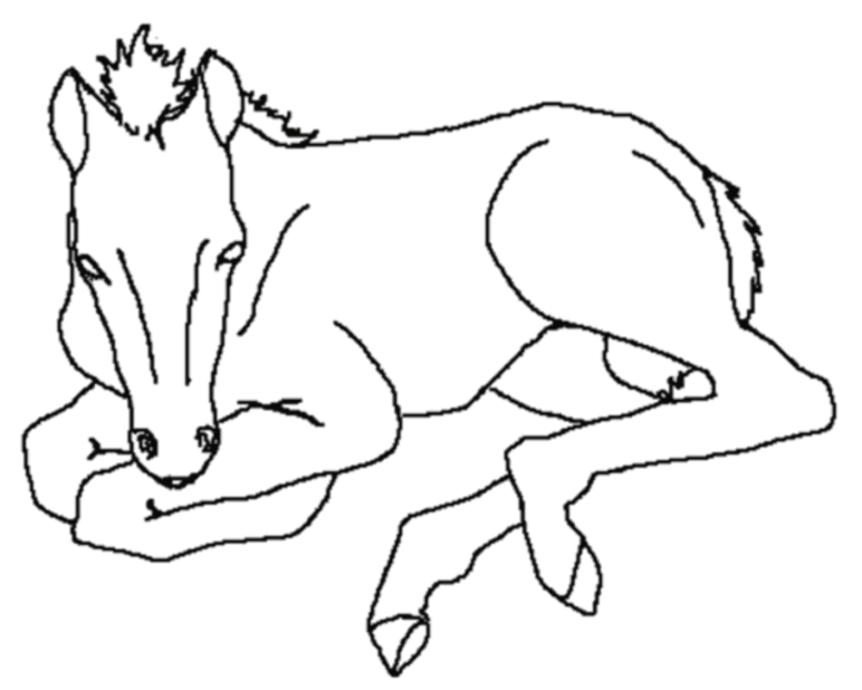 Free printable horse coloring pages for kids