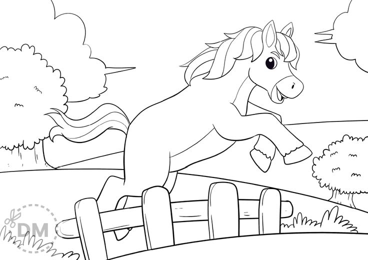 Horse jumping