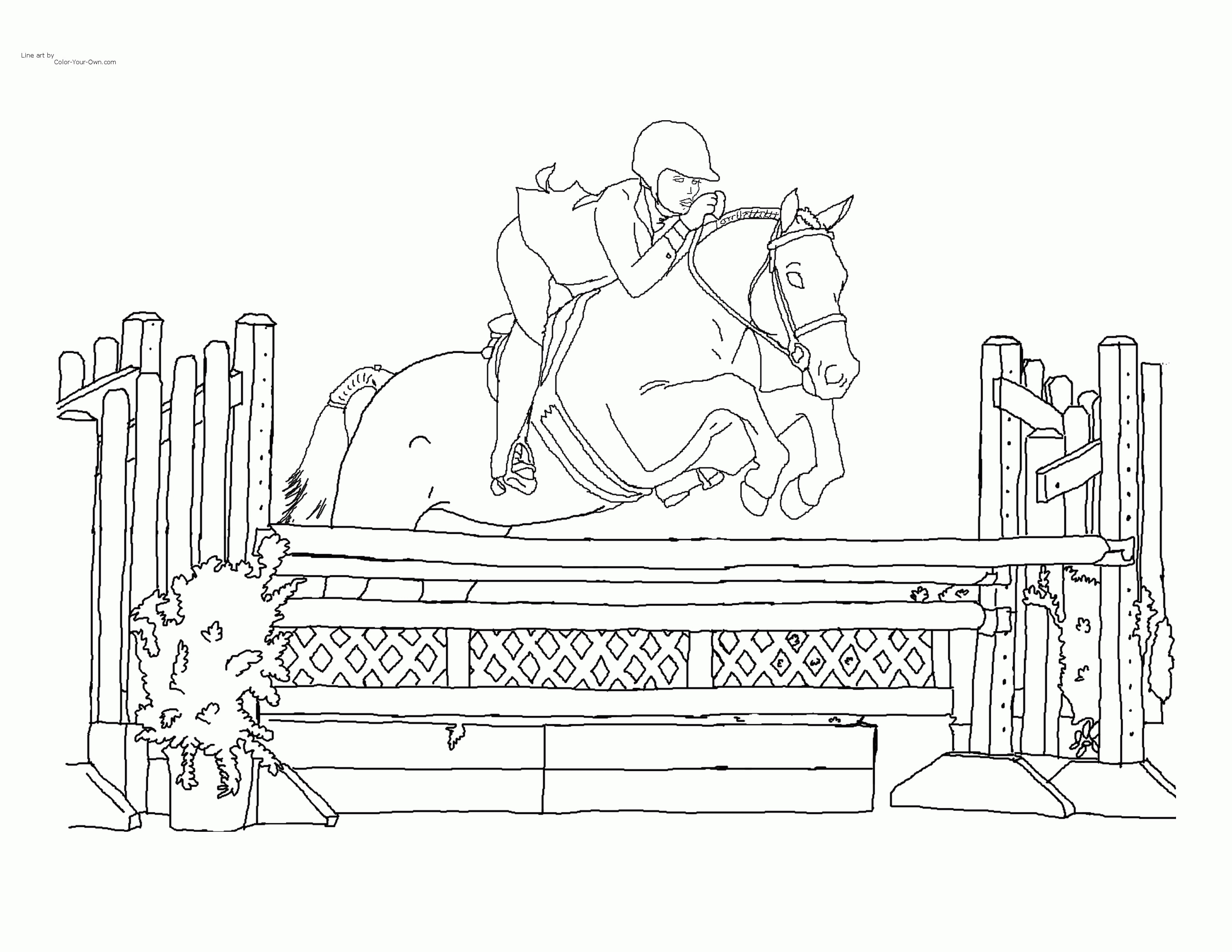 Jumping horse coloring page horse coloring horse coloring pages pokemon coloring pages