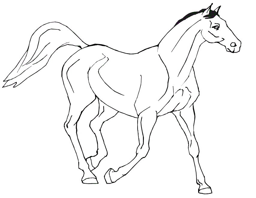 Free printable horse coloring pages for kids