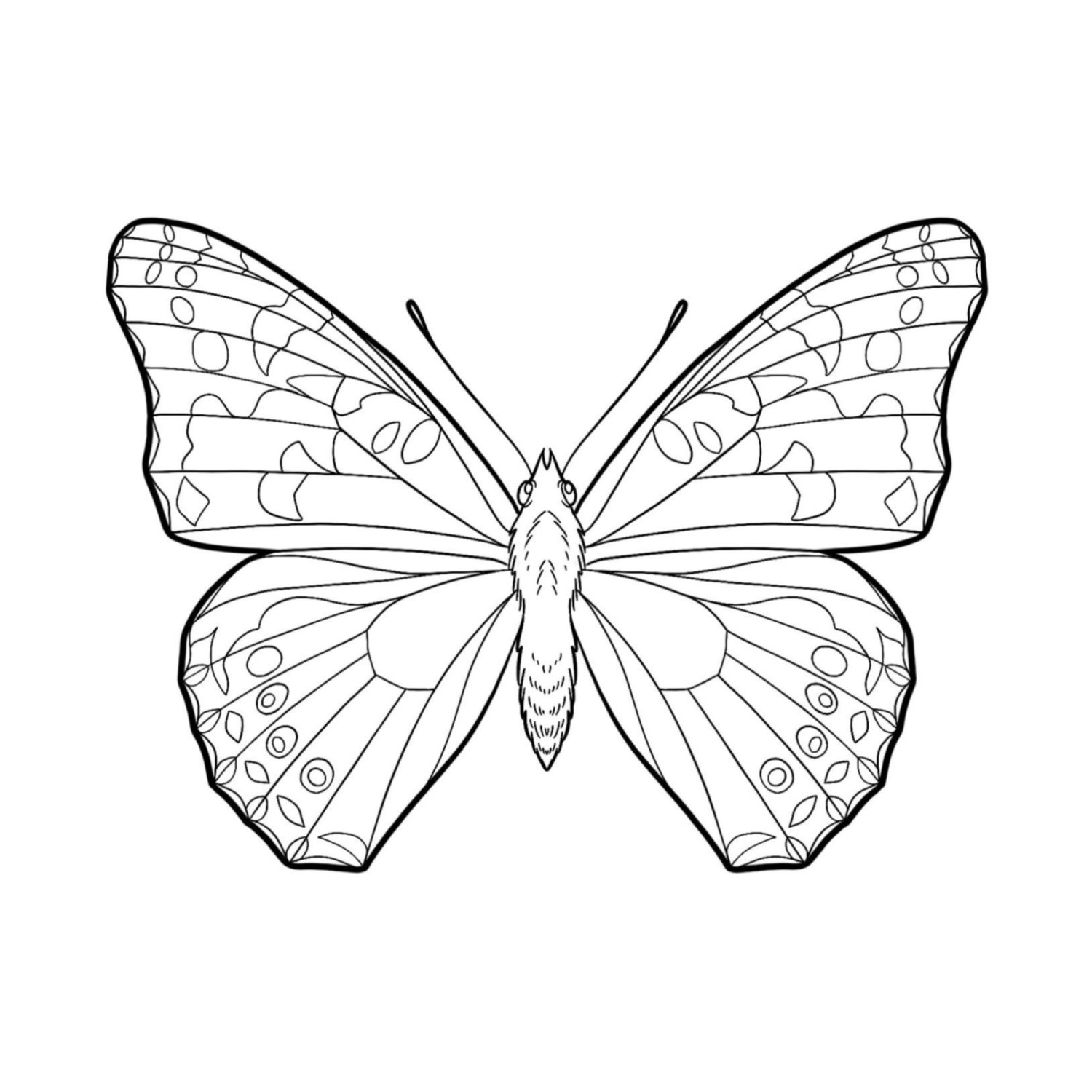 Painted lady butterfly â sky rocket tattoos