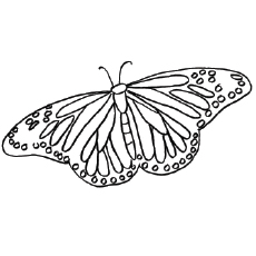 Top free printable butterfly coloring pages online