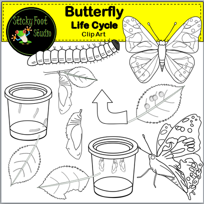 Butterfly life cycle clip art for painted lady butterflies made by teachers