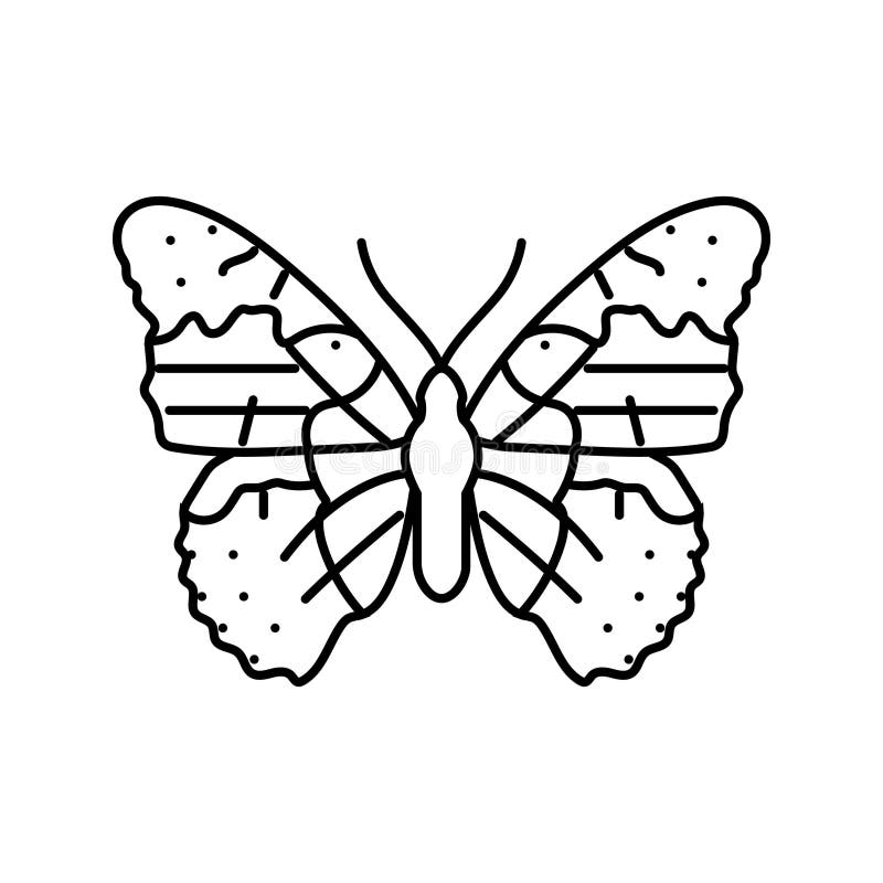 Painted lady butterfly stock illustrations â painted lady butterfly stock illustrations vectors clipart