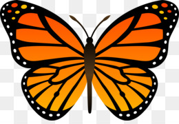 Painted lady png
