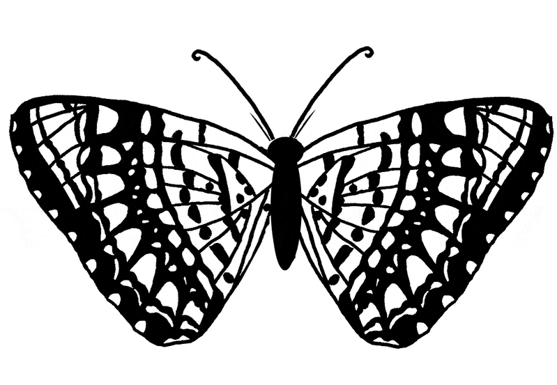 Butterfly coloring pages drawings