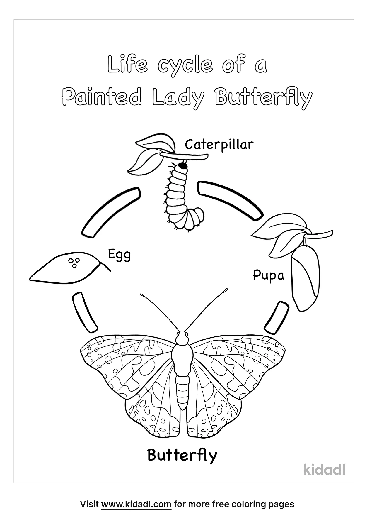 Free painted lady butterfly coloring page coloring page printables