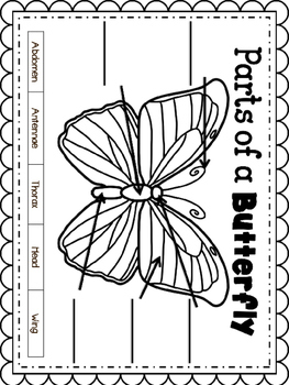 Painted lady butterfly life cycle packet toast by meaghan kimbrell