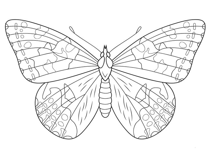 Painted lady butterfly coloring page butterfly coloring page super coloring pages insect coloring pages
