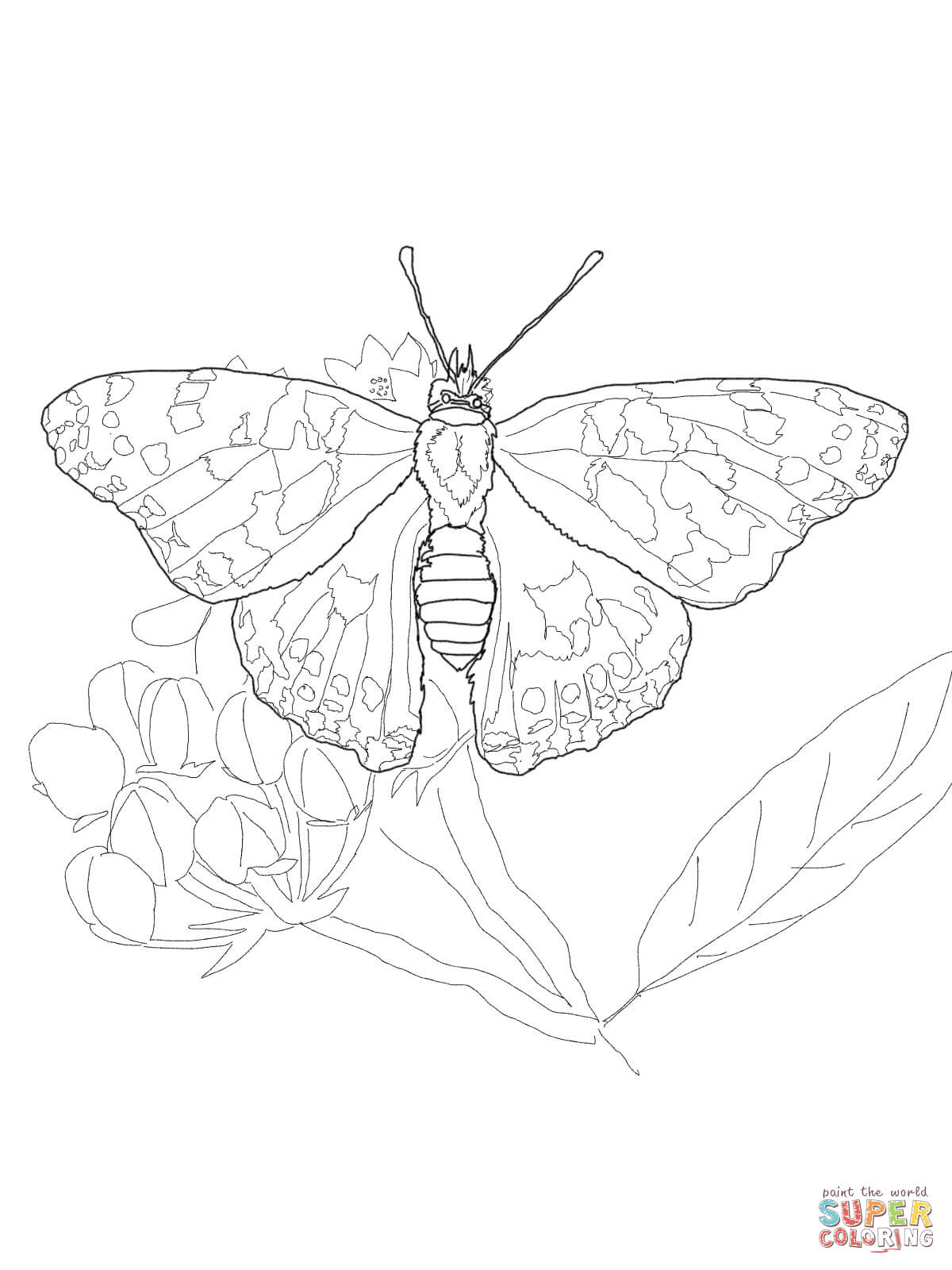 Painted lady butterfly coloring page free printable coloring pages
