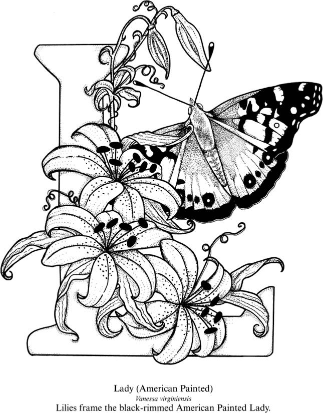 Wele to dover publications coloring pages butterfly coloring page coloring book pages